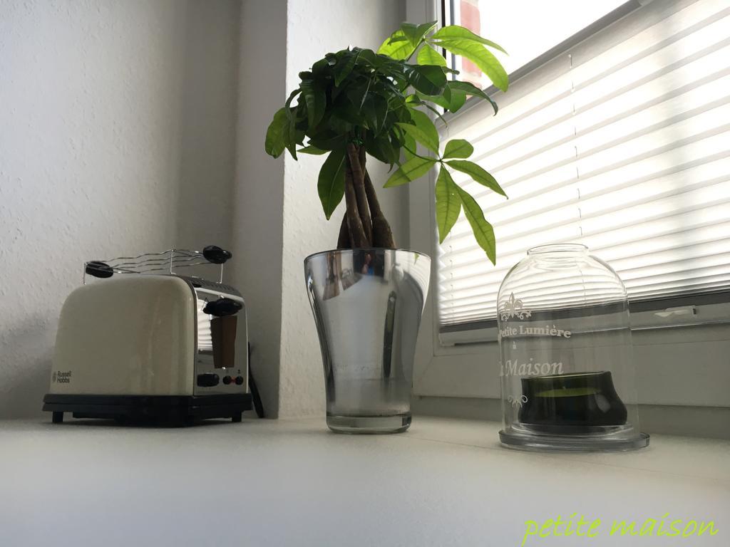 Petite Maison リューネブルク エクステリア 写真